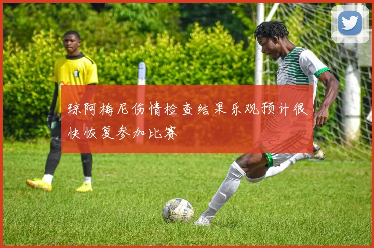 琼阿梅尼伤情检查结果乐观预计很快恢复参加比赛