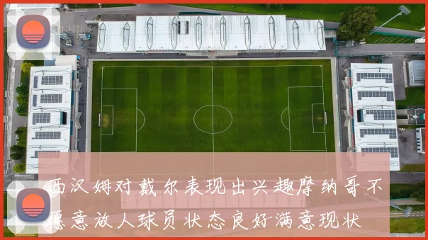 西汉姆对戴尔表现出兴趣摩纳哥不愿意放人球员状态良好满意现状